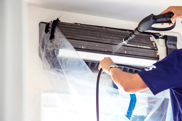 Air Duct Mold Removal in Edgard, LA